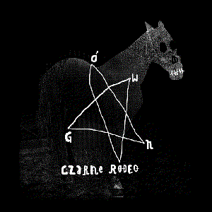 “Czarne rodeo”的封面