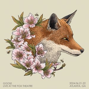 Image for 'Live at The Fox Theatre'