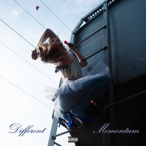 Image for 'Different / Momentum'