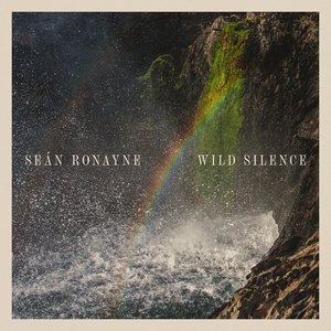 Image for 'Wild Silence'