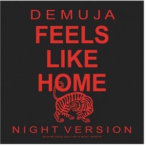 Immagine per 'Feels Like Home (Night Version)'