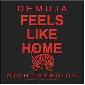 Imagem de 'Feels Like Home (Night Version)'