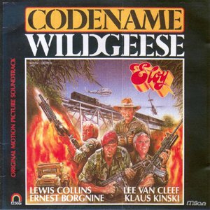 “Codename Wildgeese”的封面