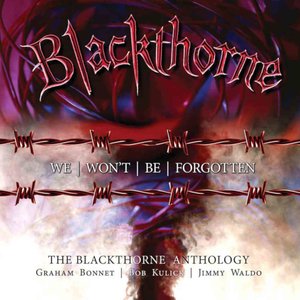 'We Won't Be Forgotten: The Blackthorne Anthology'の画像