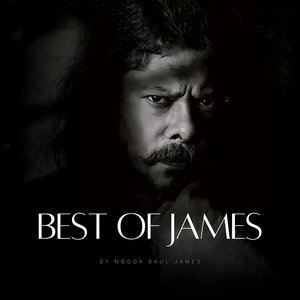 Image for 'Best of James'