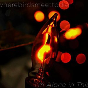 Image for 'I'm Alone in This'