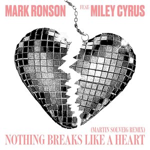 Image for 'Nothing Breaks Like a Heart (Martin Solveig Remix)'