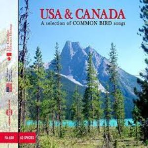 “Usa & Canada, A Selection Of Common Bird Songs”的封面