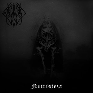 Image for 'Necristeza'