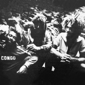 Image for 'The Congos'