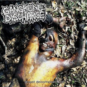 Image for 'Target Decompositions'