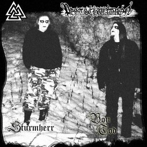 Image for 'Pestschwadron'
