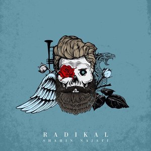 Image for 'Radikal'