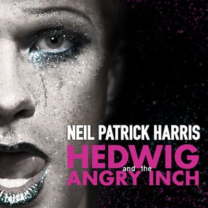 Image for 'Hedwig And The Angry Inch Original Broadway Cast Recording'