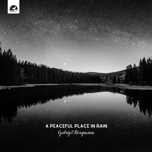 Image for 'A Peaceful Place in Rain'