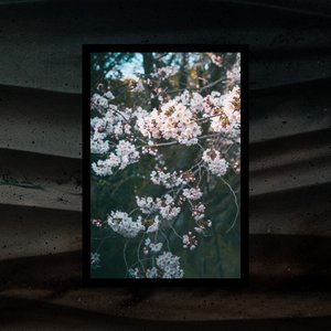 Изображение для 'Nostalgia'
