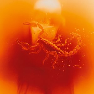 Image for 'SCORPIONE'