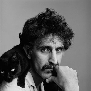 Image pour 'Frank Zappa'