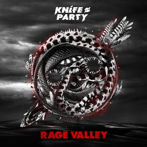 “Rage Valley”的封面