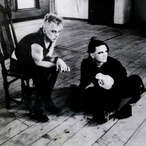 “Virgin Prunes”的封面