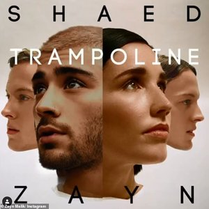 Image for 'SHAED, ZAYN'
