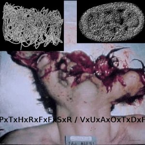 “PxTxHxRxFxFxSxR / VxUxAxOxTxDxF”的封面