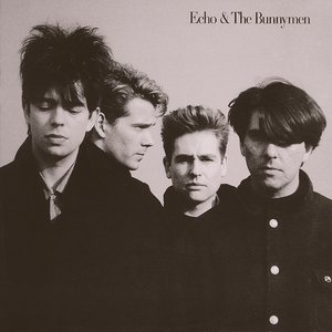 “Echo & the Bunnymen”的封面