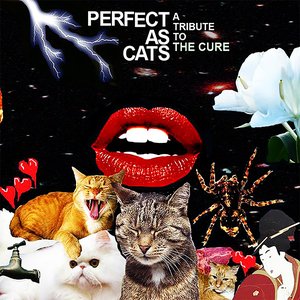 Immagine per 'A Forest (Perfect As Cats Version)'