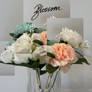 Image for 'Blossom'