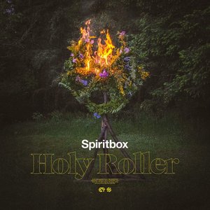 Image for 'Holy Roller'