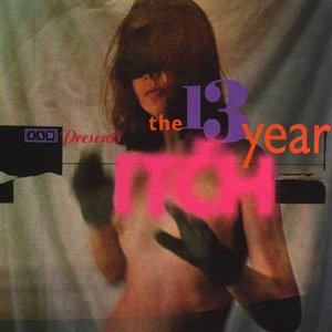 Image pour '4AD Presents the 13 Year Itch'