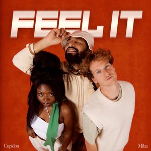 Image for 'Feel It'