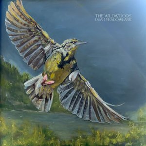 Image for 'Dear Meadowlark'