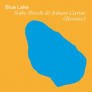 Immagine per 'Green-Yellow Field (Sofie Birch & Johan Carøe Remix)'