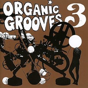 Image for 'Organic Grooves 3'