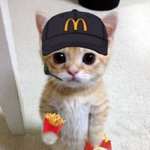 Image for 'Better Than McDonald's'
