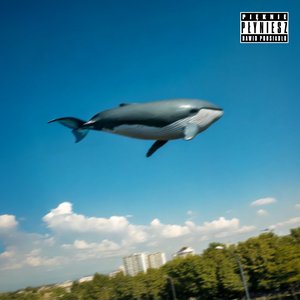 Image for 'Pięknie płyniesz - Single'