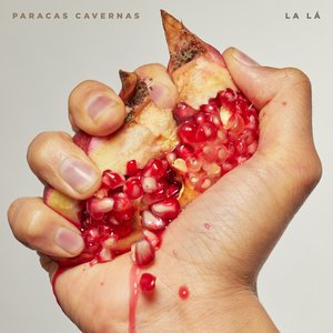 Bild für 'Paracas Cavernas'
