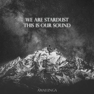 'We Are Stardust, This Is Our Sound' için resim