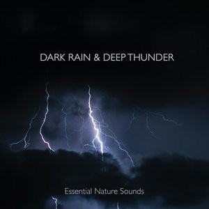 “Dark Rain & Deep Thunder”的封面