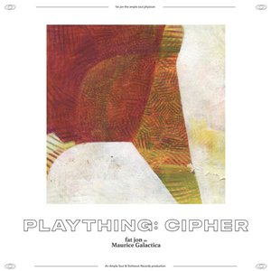 Image for 'Plaything: Cipher'