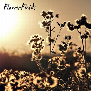Image for 'Flowerfields'