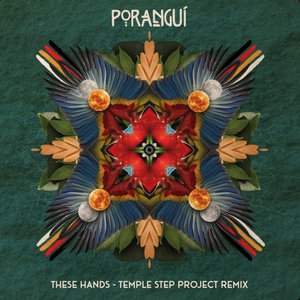 Bild für 'These Hands (Temple Step Project Remix)'
