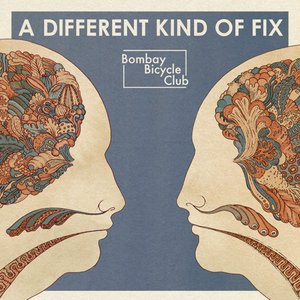 “A Different Kind of Fix”的封面