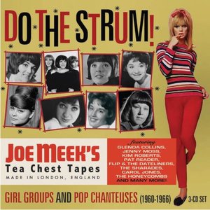 Image for 'Do The Strum!: Girl Groups And Pop Chanteuses (1960-1966)'