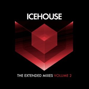 'The Extended Mixes Vol. 2'の画像