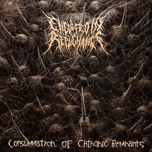 Image for 'Consummation of Chthonic Remnants'