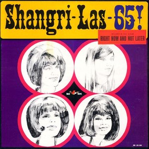 Image for 'Shangri-Las-65!'