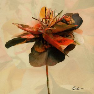 Image for 'Garden'