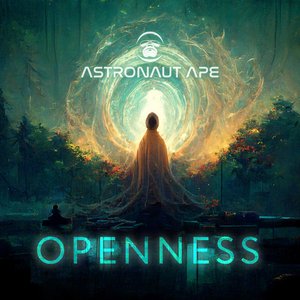 “Openness”的封面